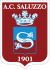 logo CUNEO 1905 OLMO